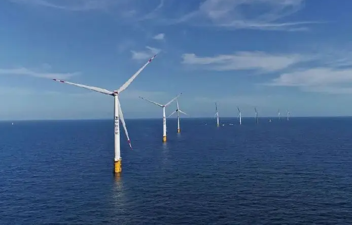 4001百老汇会员登录：细微之处见真章